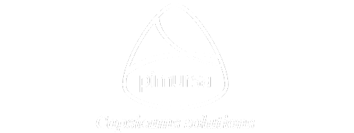 Pimursa